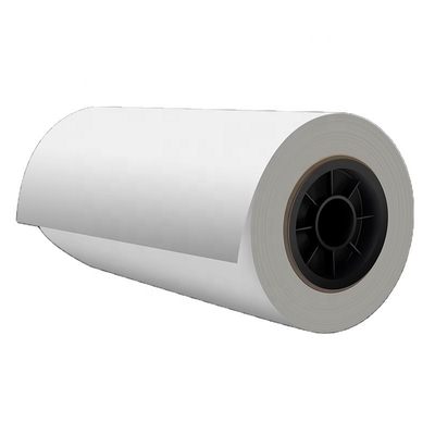 Printer Transfer Film Double Side Printing Hot Peel Roll Dtf Pet Film Better Printer